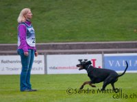 20161009 092603 -2 : 5r2016