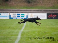 20161009 092916 -3 : 5r2016