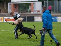 20161009 133543 -2 : 5r2016