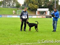 Celine-119 : celine