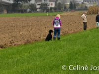 Celine-63 : celine