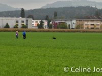 Celine-72 : celine