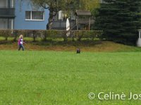 Celine-76 : celine