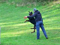 DSC 4255b