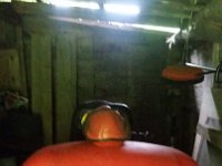 IMG-20170507-WA0000