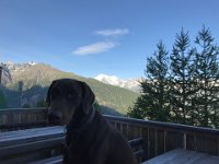 IMG 9328