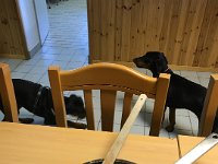 IMG 9331