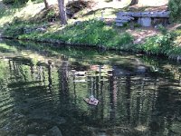 IMG 9388