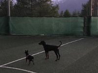IMG 9480