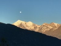 IMG 9484