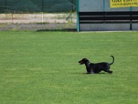 20170520162746 IMG 3897