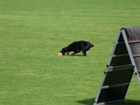 20170520162921 IMG 3925