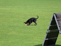 20170520162921 IMG 3926