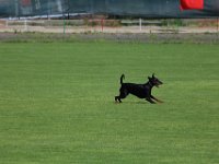 20170520163216 IMG 3998