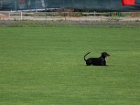 20170520163217 IMG 4003 1