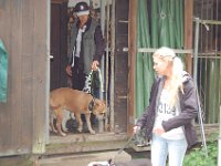 DSC 0087