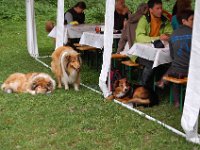 DSC 0100
