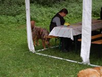 DSC 0102