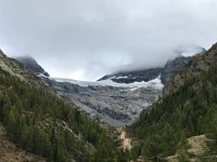 IMG 3185