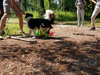 PHOTO-2018-07-08-15-19-57