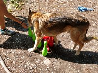 PHOTO-2018-07-08-15-20-07