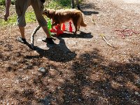 PHOTO-2018-07-08-15-20-14