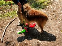 PHOTO-2018-07-08-15-20-15