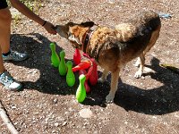 PHOTO-2018-07-08-15-20-25-1