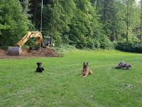 IMG-20180714-WA0004